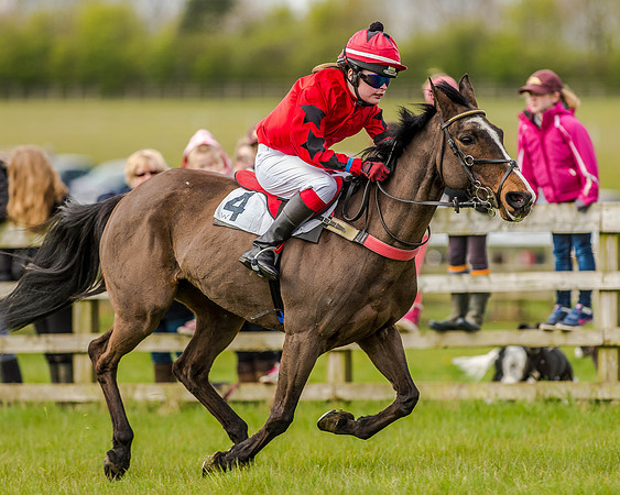 Pony Race 2 (45 of 77).jpg