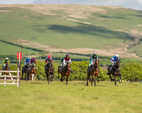 Race 6 - Open Maiden Race (30 of 71).jpg