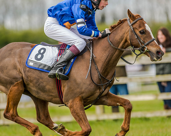 Pony Race 2 (60 of 77).jpg
