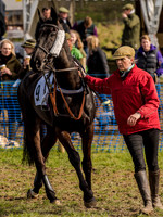 Race 5 - The Southern Grand national (12 of 96).jpg