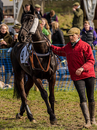 Race 5 - The Southern Grand national (12 of 96).jpg