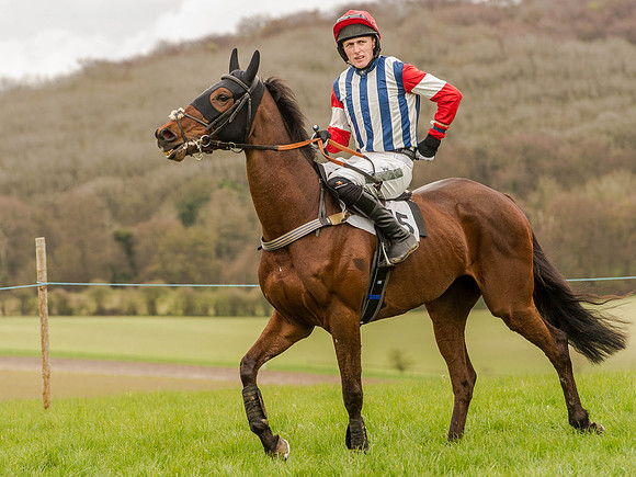 Race 3 - Young Horse maiden 2m5f (47 of 124).jpg
