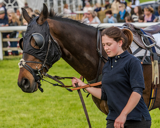 Race 4 - PPORA Novice Riders (47 of 196).jpg