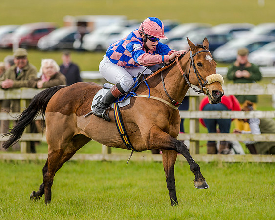 Pony Race 3 (41 of 78).jpg