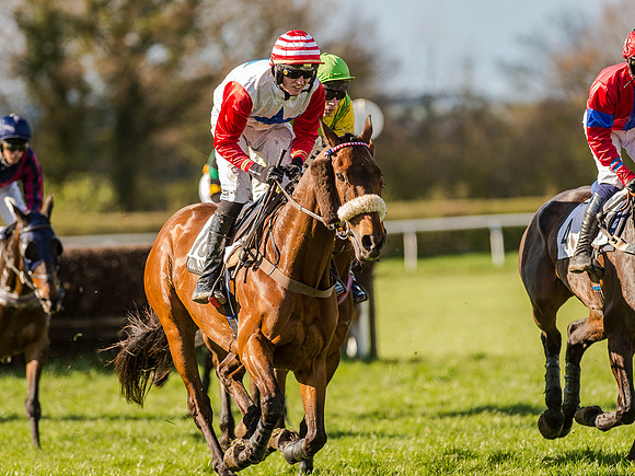 Race 6 - The Open Maiden (47 of 122).jpg