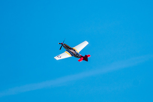 P-51 Mustang (3 of 19)