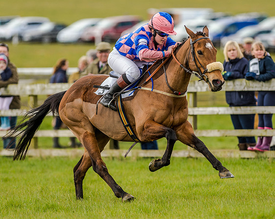 Pony Race 3 (40 of 78).jpg