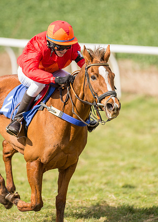 Pony Race 2 - 148cm  (34 of 49).jpg