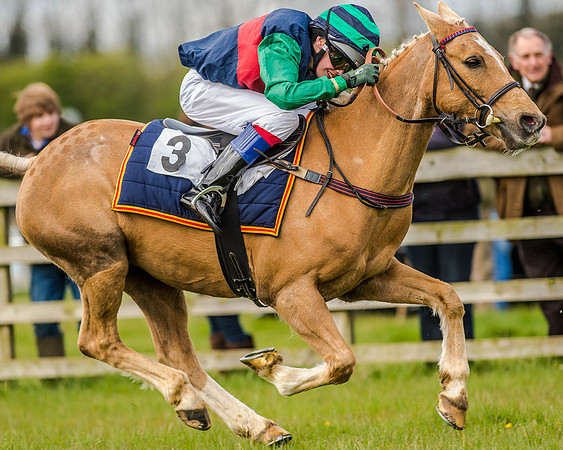 Pony Race 2 (58 of 77).jpg