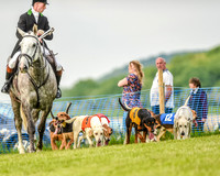 Race 8  - Hound Open Race (3 of 22).jpg