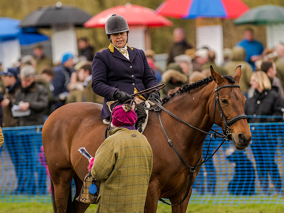 Race 3 - Young Horse maiden 2m5f (28 of 124).jpg