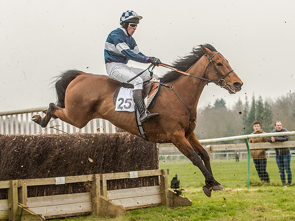 Race 5 - Open Maiden Division 2 (83 of 112).jpg