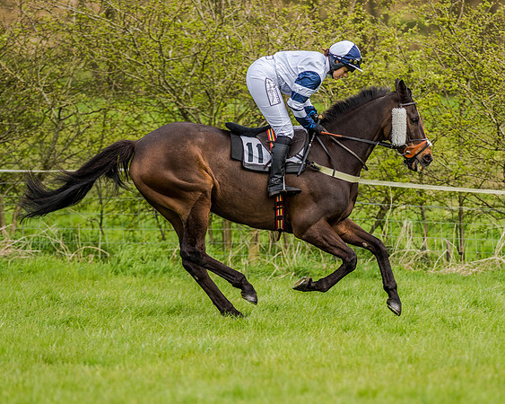 Race 7 - PPORA Members Conditions (54 of 192)