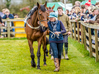Race 2 - TBA Club Members Race for Mares and Fillies (6 of 108).jpg