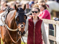 Race 3 - The Ladies Open (20 of 98).jpg