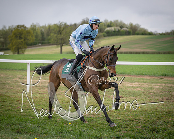Race 6 - The Restricted Race (4 of 101)