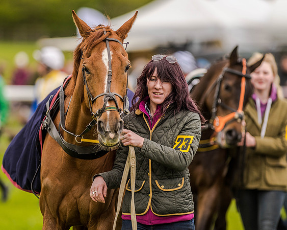Race 2 - Open Maiden  (34 of 170).jpg