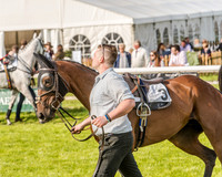 Race 6 - Open Maiden Race (10 of 176).jpg
