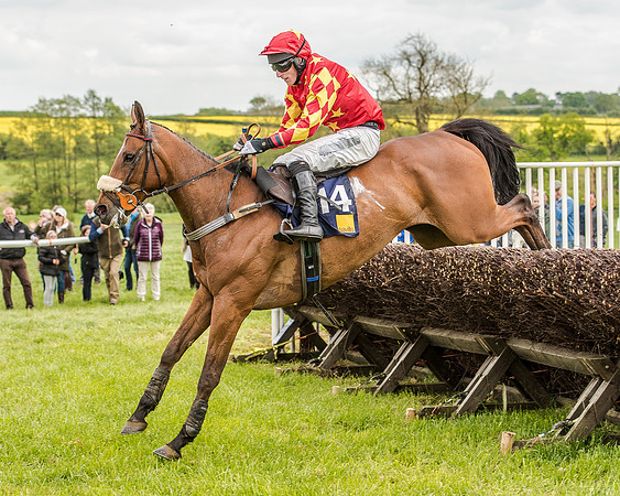 Race 2 - Intermediate Race (62 of 83).jpg