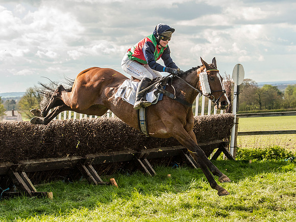 Race 5 - The Southern Grand national (49 of 96).jpg