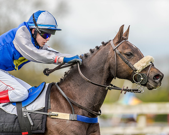 Pony Race 2 (70 of 77).jpg