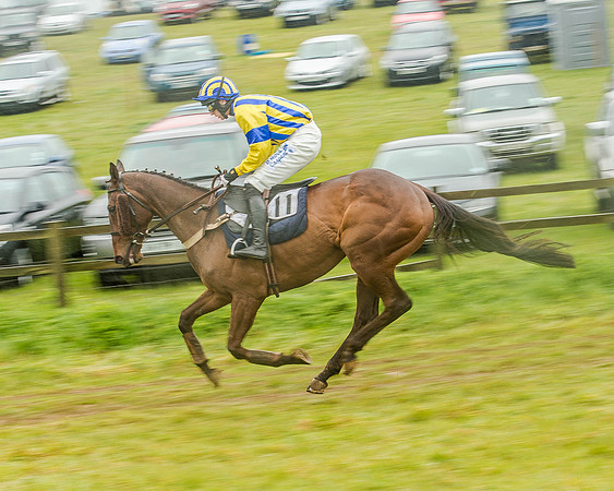 Race 5 - Restricted Race (34 of 146).jpg