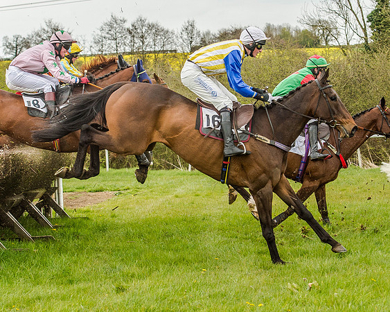 Race 2 - Open Maiden  (83 of 170).jpg