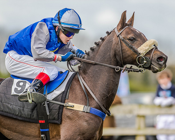 Pony Race 2 (68 of 77).jpg