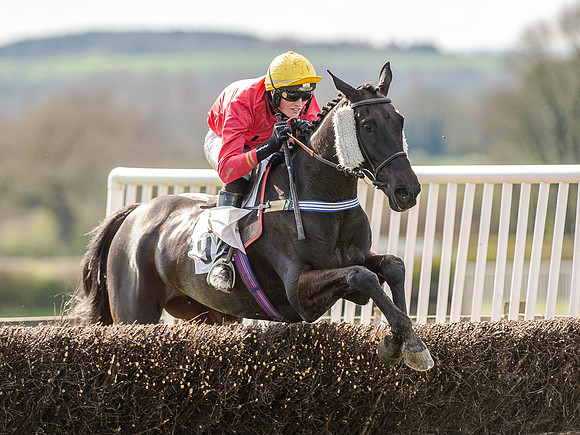 Race 5 - The Southern Grand national (52 of 96).jpg