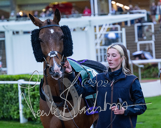 Race 7 - Glos Hussars (7 of 220)