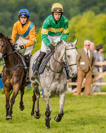 Race 7 - Div 2 - Open Maiden (41 of 163).jpg