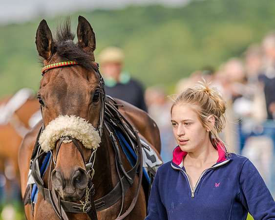 Race 7 - Div 2 - Open Maiden (32 of 163).jpg