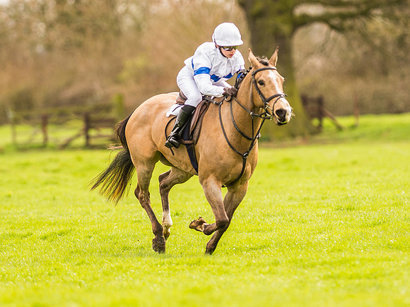 Pytchley Pony Races (83 of 167).jpg