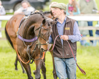 Pony Race 3 (10 of 56).jpg