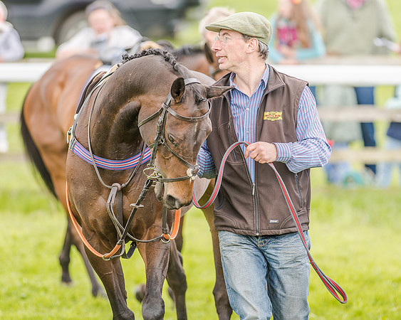 Pony Race 3 (10 of 56).jpg