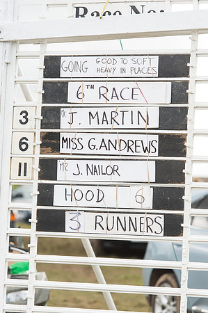 Race 6 - Open Maiden (1 of 110).jpg