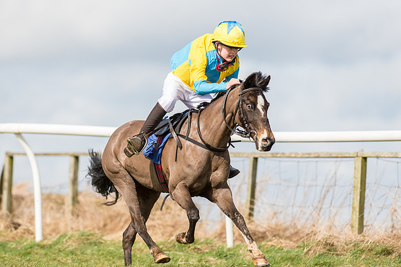 Pony Race 1 - 138cm  (37 of 57).jpg