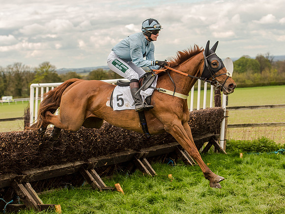 Race 3 - Young Horse maiden 2m5f (85 of 124).jpg