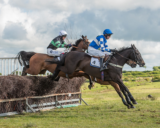 Race 6 - Open Maiden Race (44 of 71).jpg