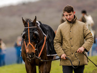 Race 3 - Young Horse maiden 2m5f (7 of 124).jpg