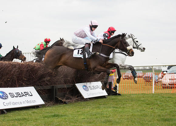 Race 6 - Confined Hunts-40
