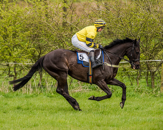 Race 7 - PPORA Members Conditions (43 of 192)