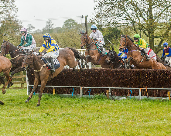 Race 5 - Restricted Race (57 of 146).jpg