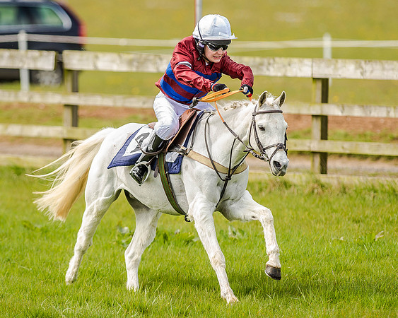 Pony Race 1  (53 of 65).jpg