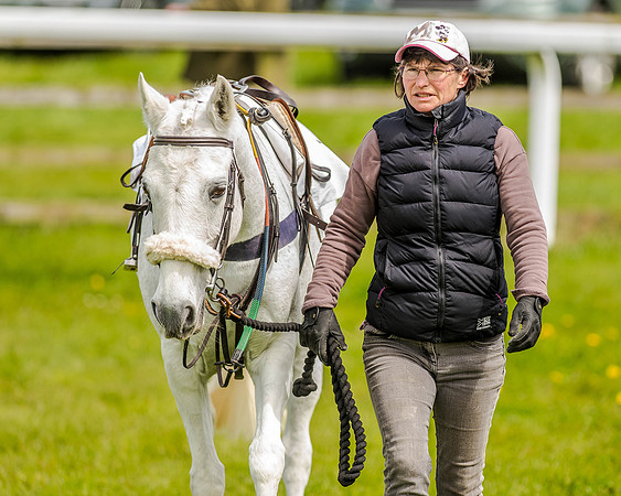 Pony Race 2 (9 of 77).jpg