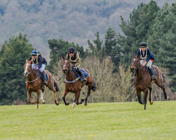Race 0 - Hunt Scurry (5 of 27).jpg