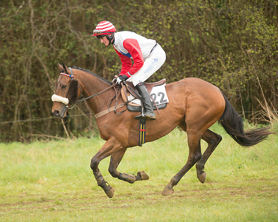 Race 5 - Open Maiden (32 of 147).jpg