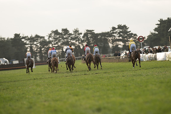 Race 5 - Open Maiden 50