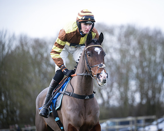 Race 1 - All Is True - Jack Andrews (3 of 38)