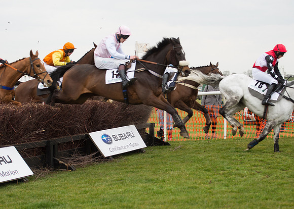 Race 6 - Confined Hunts-66